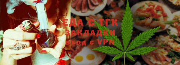 дживик Инта