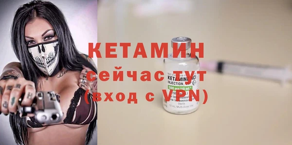 дживик Инта