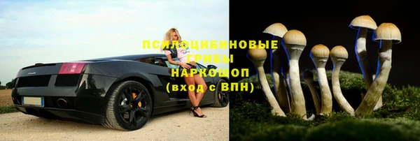 дживик Инта