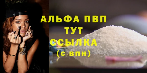 дживик Инта