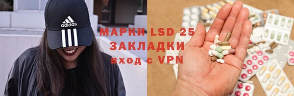 дживик Инта