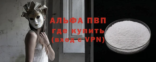 дживик Инта