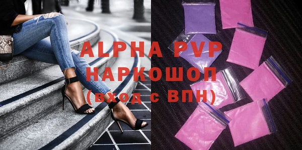 дживик Инта
