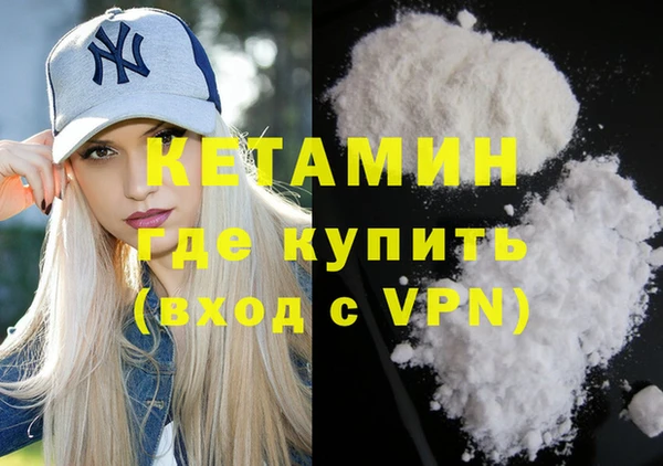 дживик Инта