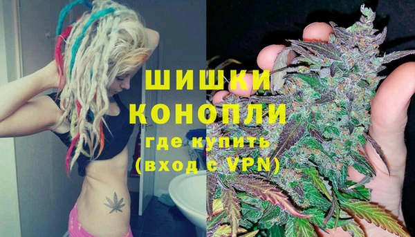 PSILOCYBIN Иннополис