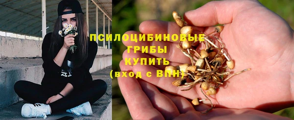 дживик Инта