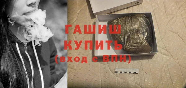 дживик Инта