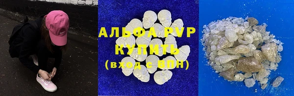 дживик Инта