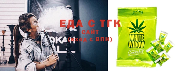 дживик Инта