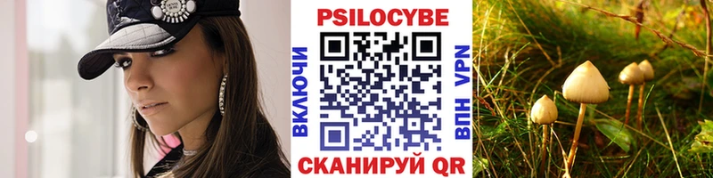 Купить  Гай  Псилоцибиновые грибы прущие грибы 