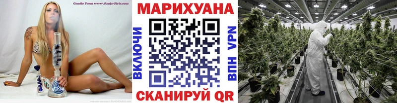 Марихуана гибрид  Купить  Гай 